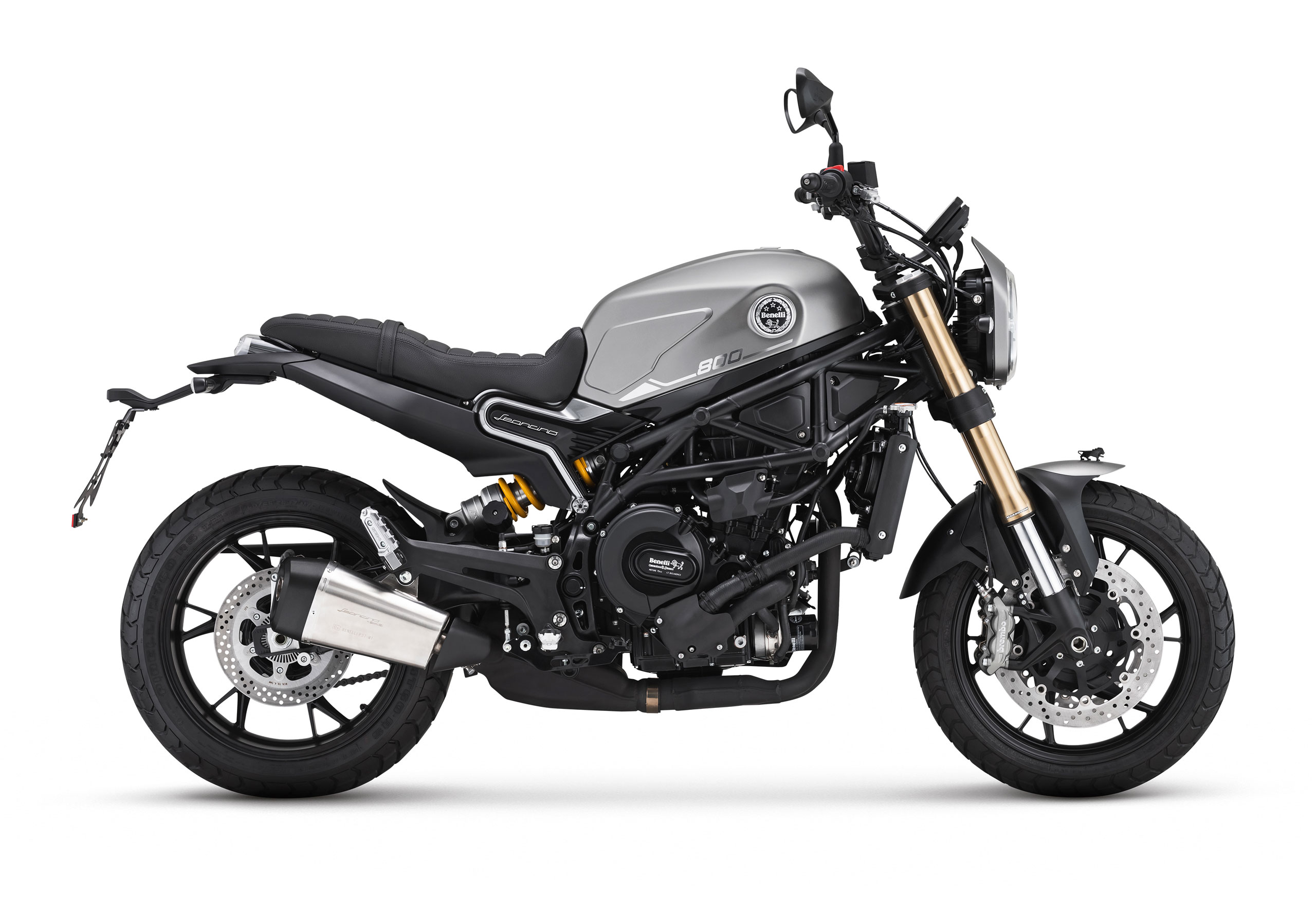 Leoncino 800